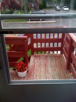 ise117 profile photo