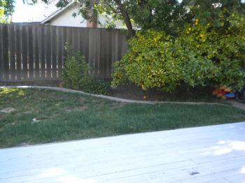 Sushilover profile photo