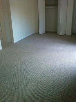 justintime23 profile photo