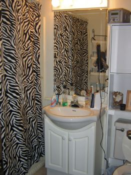 cals2626 profile photo