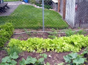 Judegrover profile photo