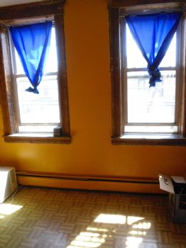 allucha profile photo