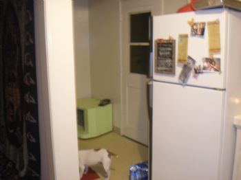 rebecca28 profile photo