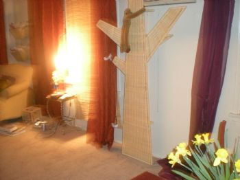 rebecca28 profile photo