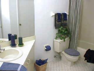 ladytazz profile photo