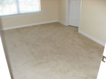 scottiedo profile photo