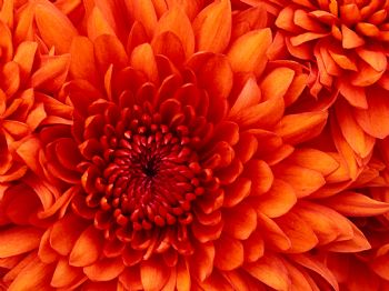 testtest123 profile photo
