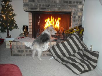 DSmith54 profile photo