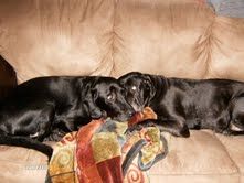 dalain75 profile photo