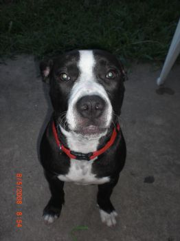 charless profile photo