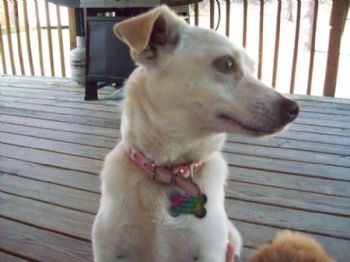 countrygal90 profile photo