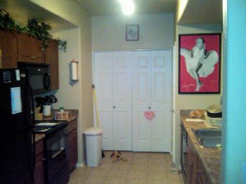 roger1989 profile photo