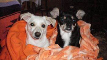 ACBill profile photo