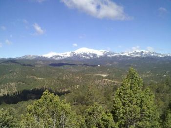 flutterbee profile photo