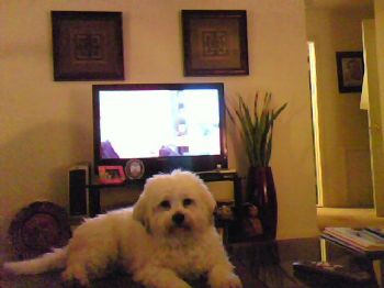 AKi1995 profile photo