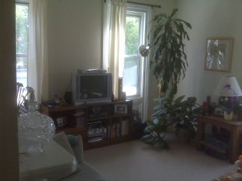 SouthSt profile photo