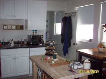 arushton11 profile photo