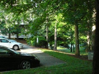 Brad1974 profile photo