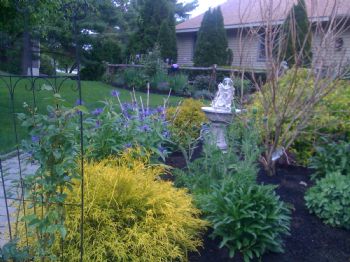 flourish profile photo