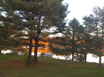 flourish profile photo