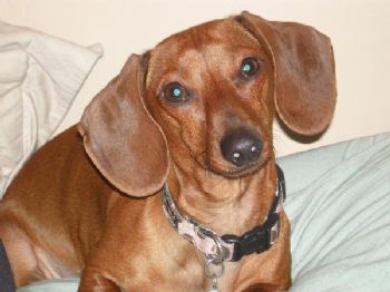 Beckifur profile photo