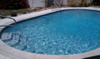 vtianvt profile photo