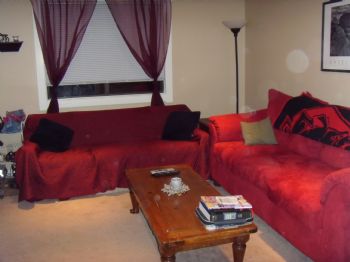 casdrew profile photo