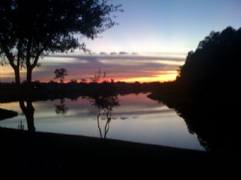 Dapple profile photo