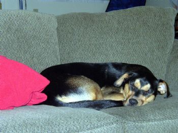 tigger122971 profile photo