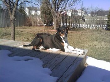 brianc32 profile photo