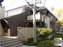 ammeyer7 profile photo