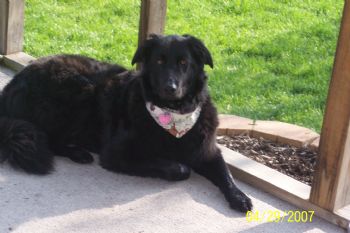 ashley22692 profile photo