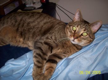 ashley22692 profile photo