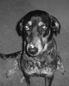 harr1250 profile photo