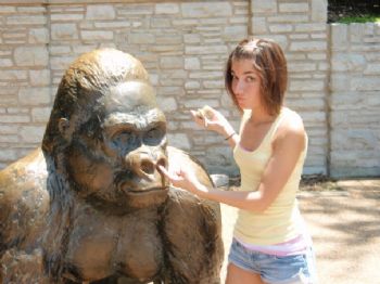 sabhul profile photo