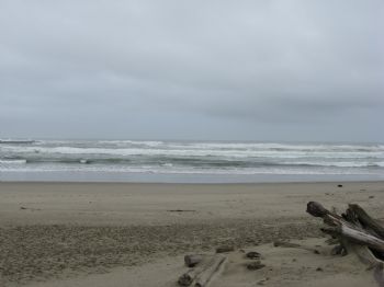 porteur profile photo