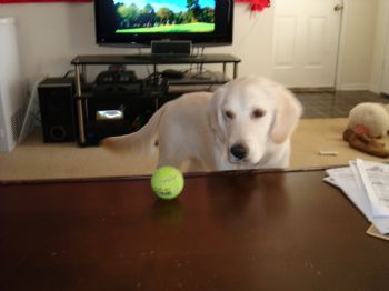 admiral58 profile photo