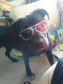 allieNgreg profile photo