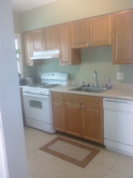 DavidJ81 profile photo