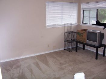 talonknight profile photo