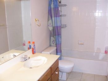 talonknight profile photo