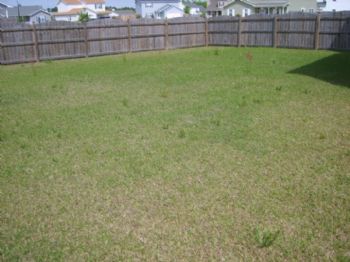 jcmack profile photo