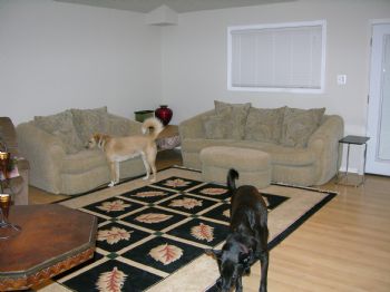 bornfree730 profile photo