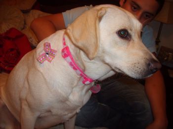 teresa1209 profile photo