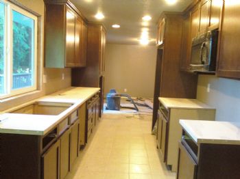 ShellyLynn profile photo