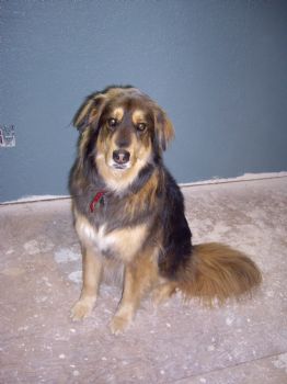 ShellyLynn profile photo