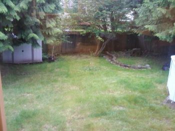 ShellyLynn profile photo