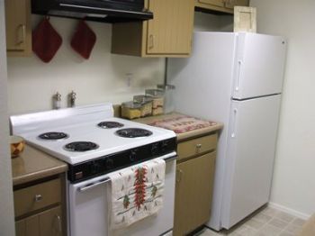 Dutchman195 profile photo