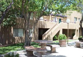 Dutchman195 profile photo