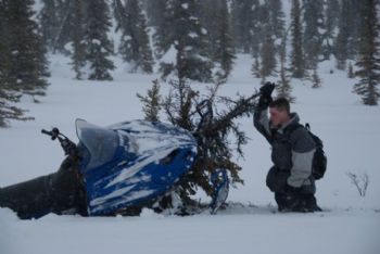 AndrewMorgan profile photo